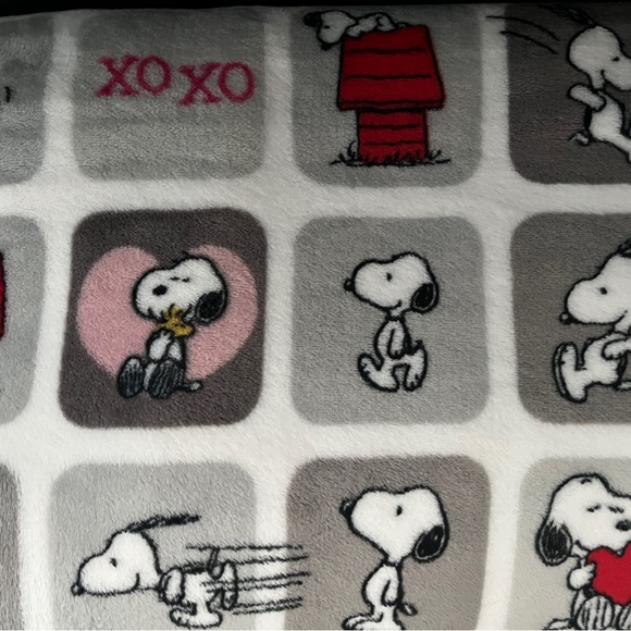 Snoopy Themed Blanket